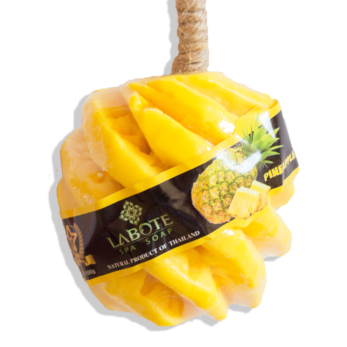 20110103yHy1EcvqtHUBm Ananas