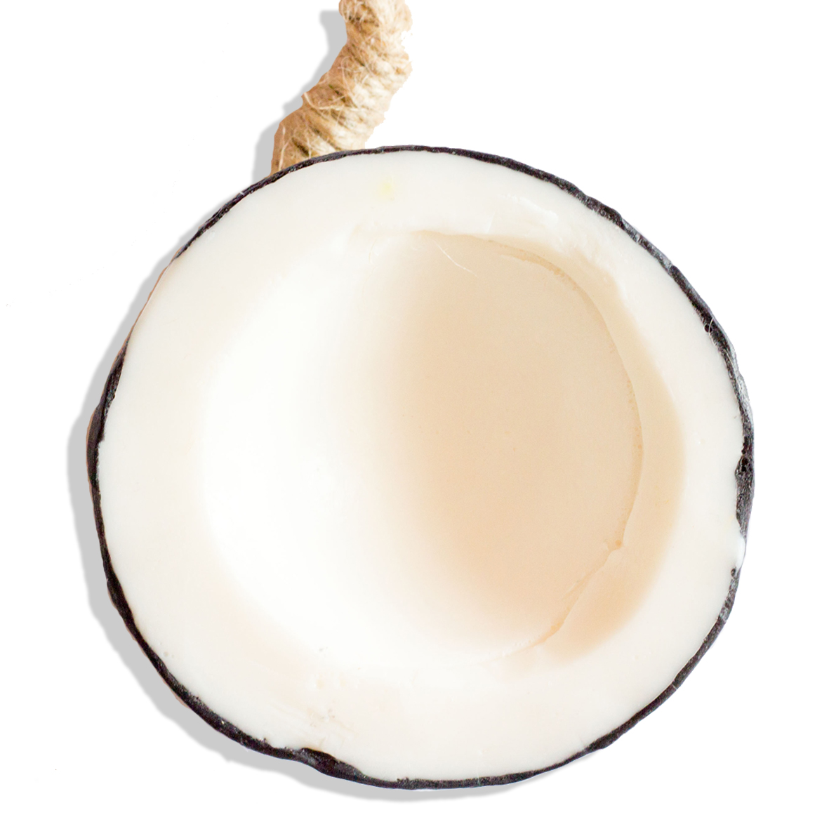 20110102_bulkTcKVRzGVvq9K9