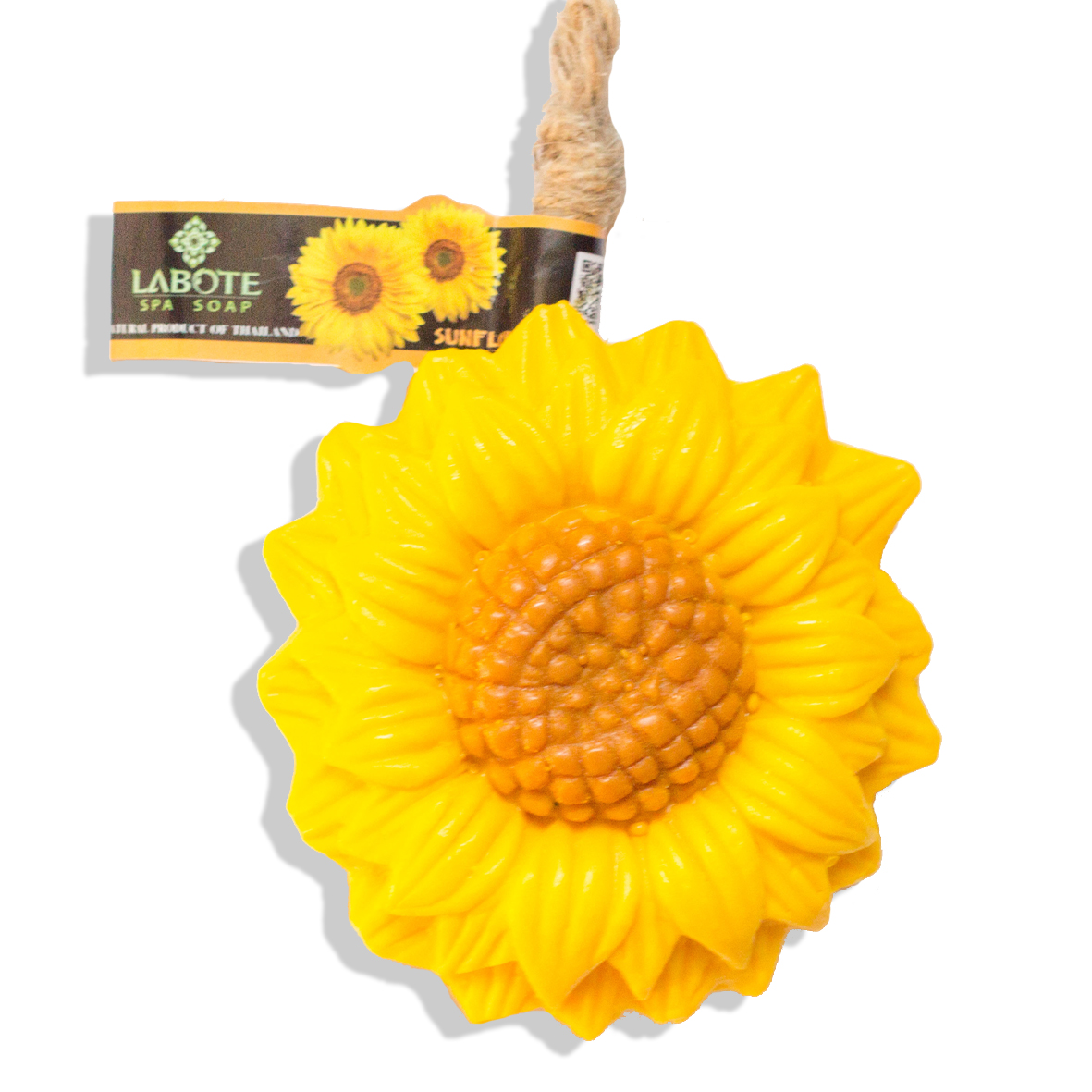 Sonnenblume