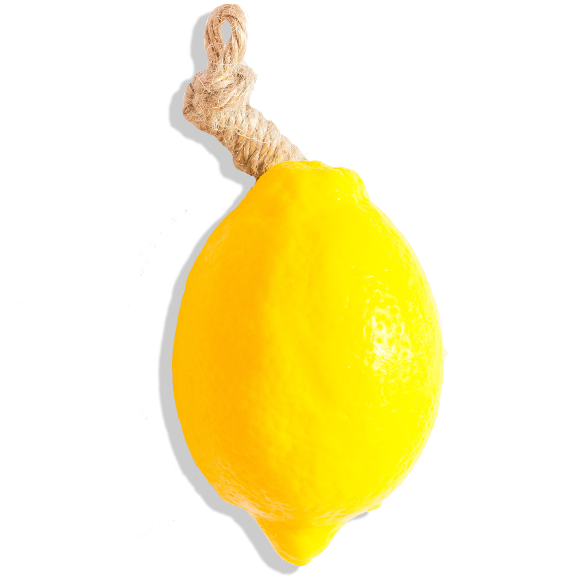 20110108_bulkeysrQ9ucwdlaY