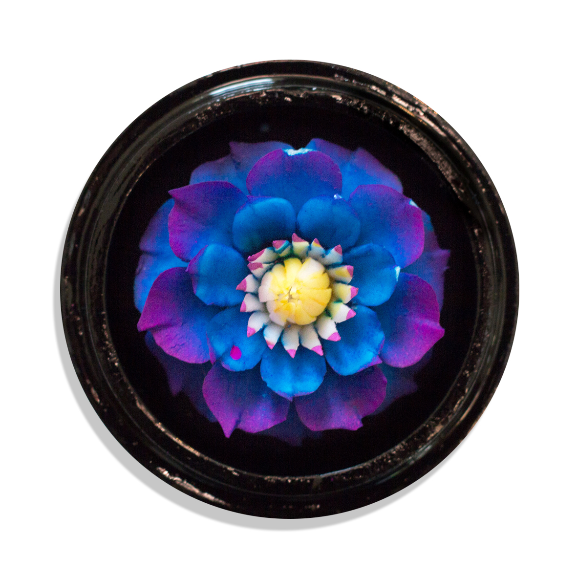 20310105_21fTC1YQJWdZC1