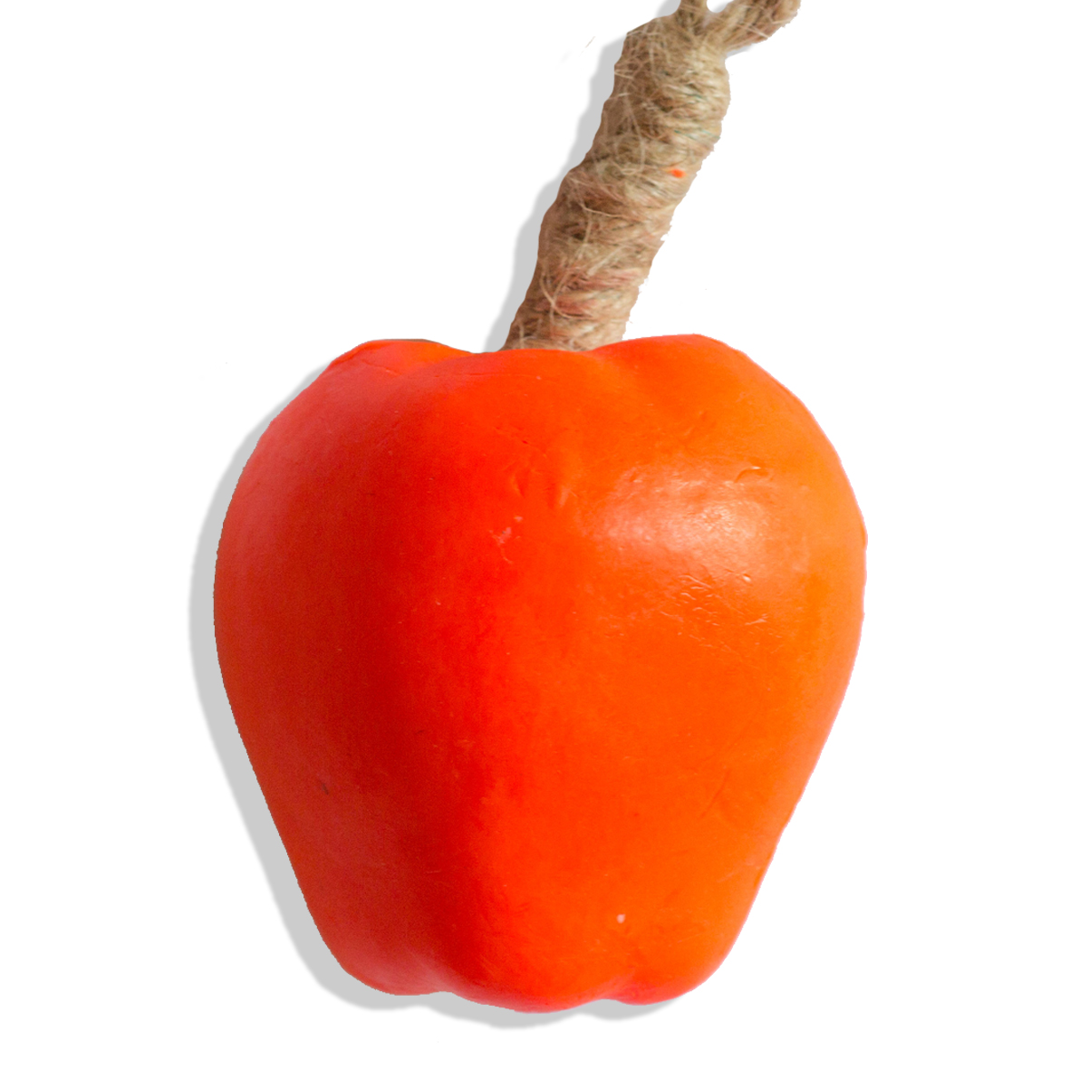 20110110_bulk7zpGPKPpxH38s