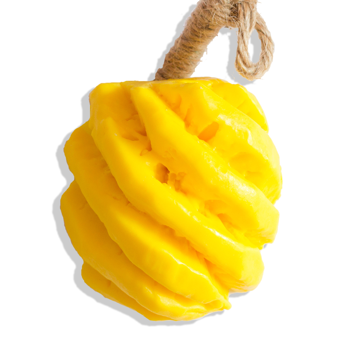 20110103_bulkbzl9xJ9lGBpPm